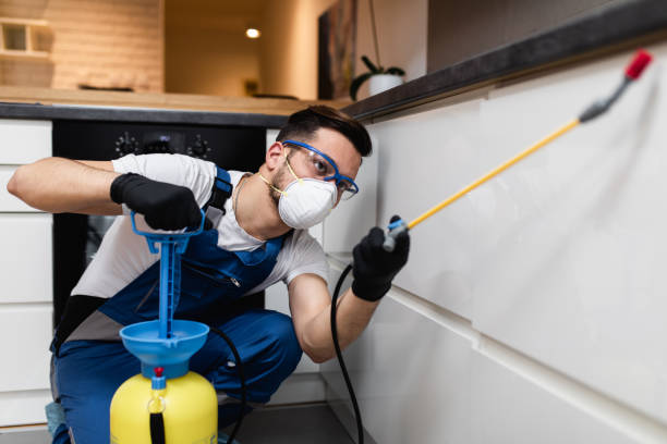Best Commercial Pest Control Services  in Griggsvle, IL