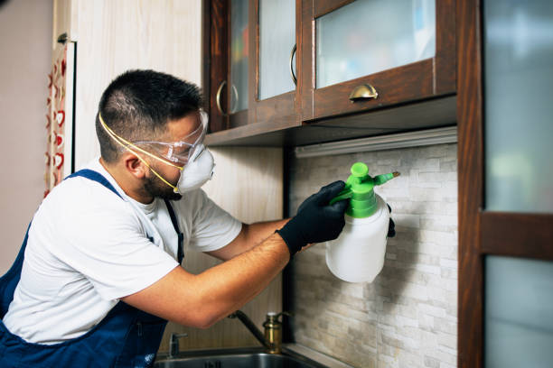 Best Pest Prevention Services  in Griggsvle, IL
