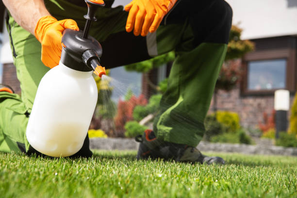 Pest Prevention Services in Griggsville, IL