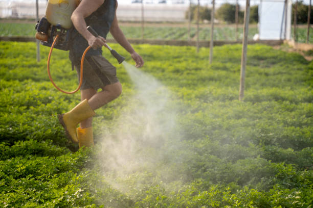 Best Pest Control Near Me  in Griggsvle, IL