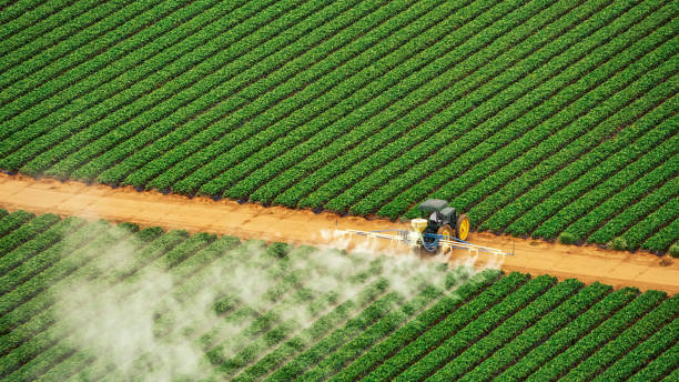 Insect Control in Griggsville, IL
