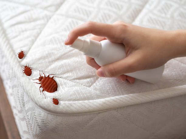 Best Bed Bug Extermination  in Griggsvle, IL