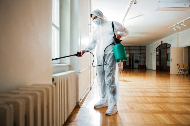 Best Cockroach Control Services  in Griggsvle, IL
