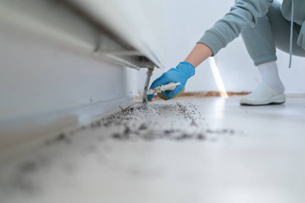 Best Pest Control Treatment  in Griggsvle, IL