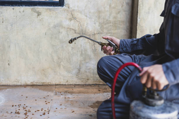 Best Exterminator Services  in Griggsvle, IL